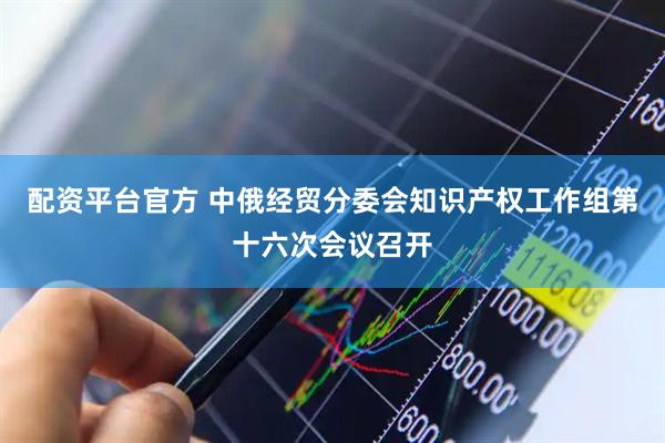 配资平台官方 中俄经贸分委会知识产权工作组第十六次会议召开