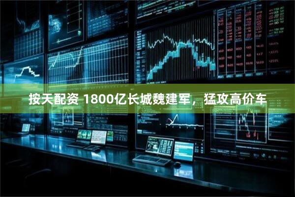 按天配资 1800亿长城魏建军，猛攻高价车